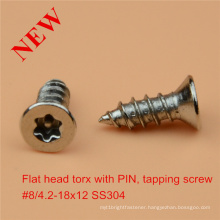 Flat Head Torx Screw with Pin Safety Screw Ss Safety Screw